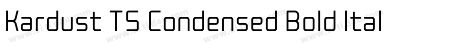 Kardust TS Condensed Bold Italic字体转换